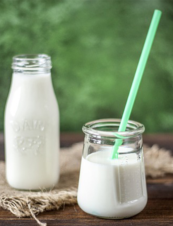 milk dairy calcium