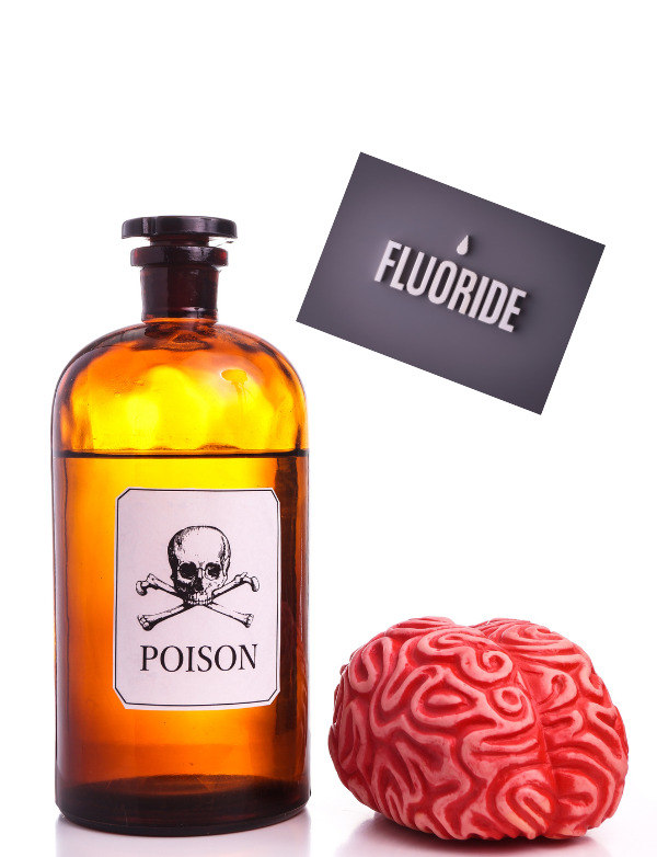 Fluoride Pituitary Gland